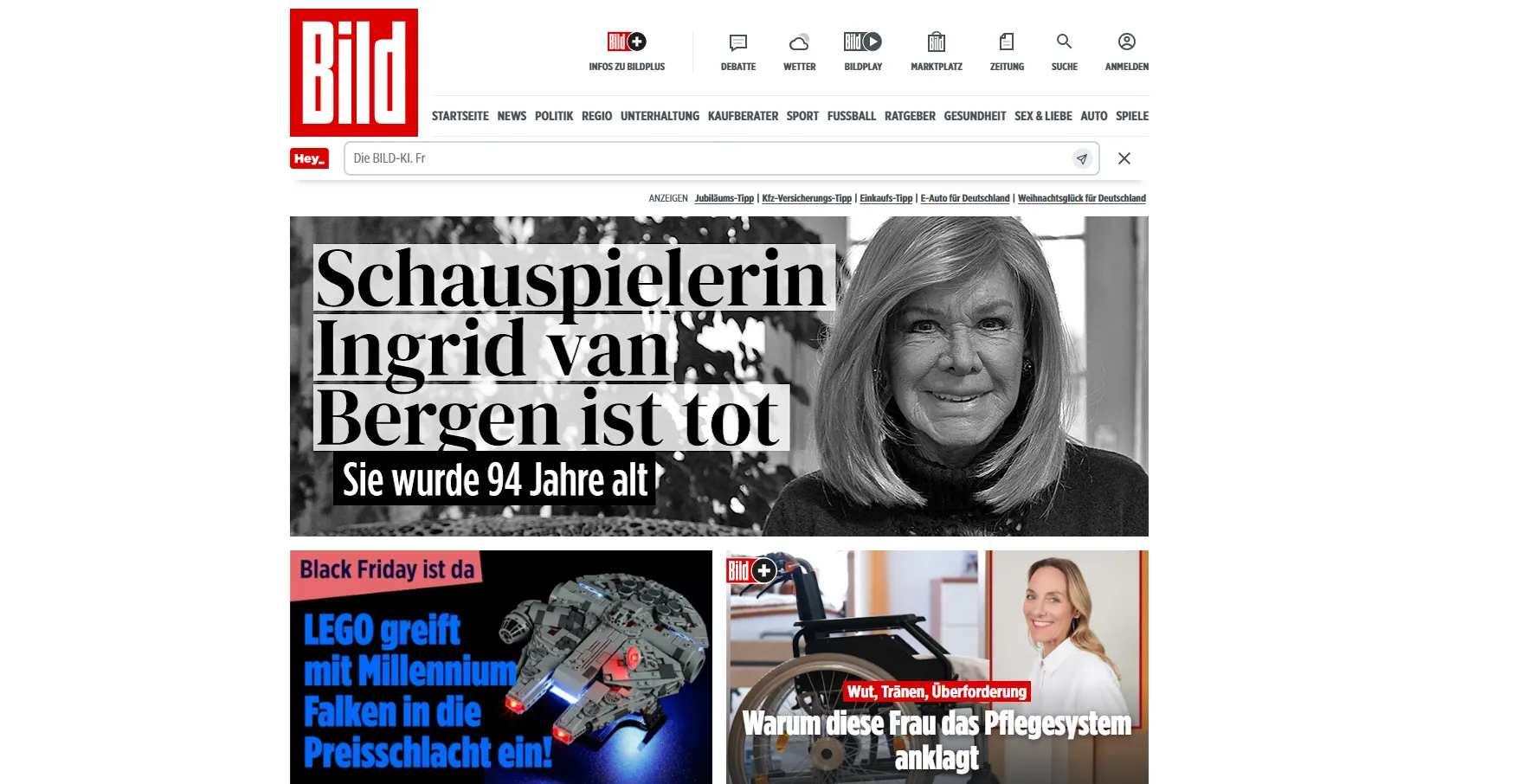 Website ohne Werbung durch Netwise SecureDNS